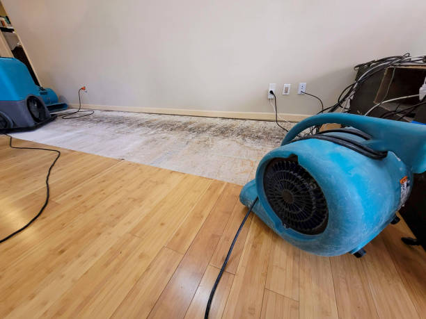 Professional Basement Flood Cleanup technician working in Oakland, FL